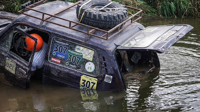 运动健将 运动健将