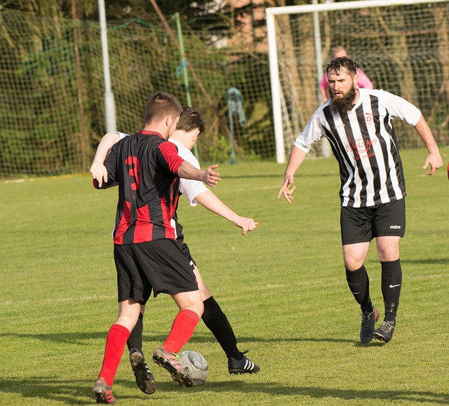 门的竞争 门的竞争