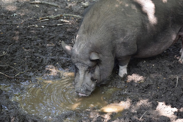 73岁拉涅利彻底封神！罗马血性2-1：读秒绝杀+连扳2球 豪取5连胜.