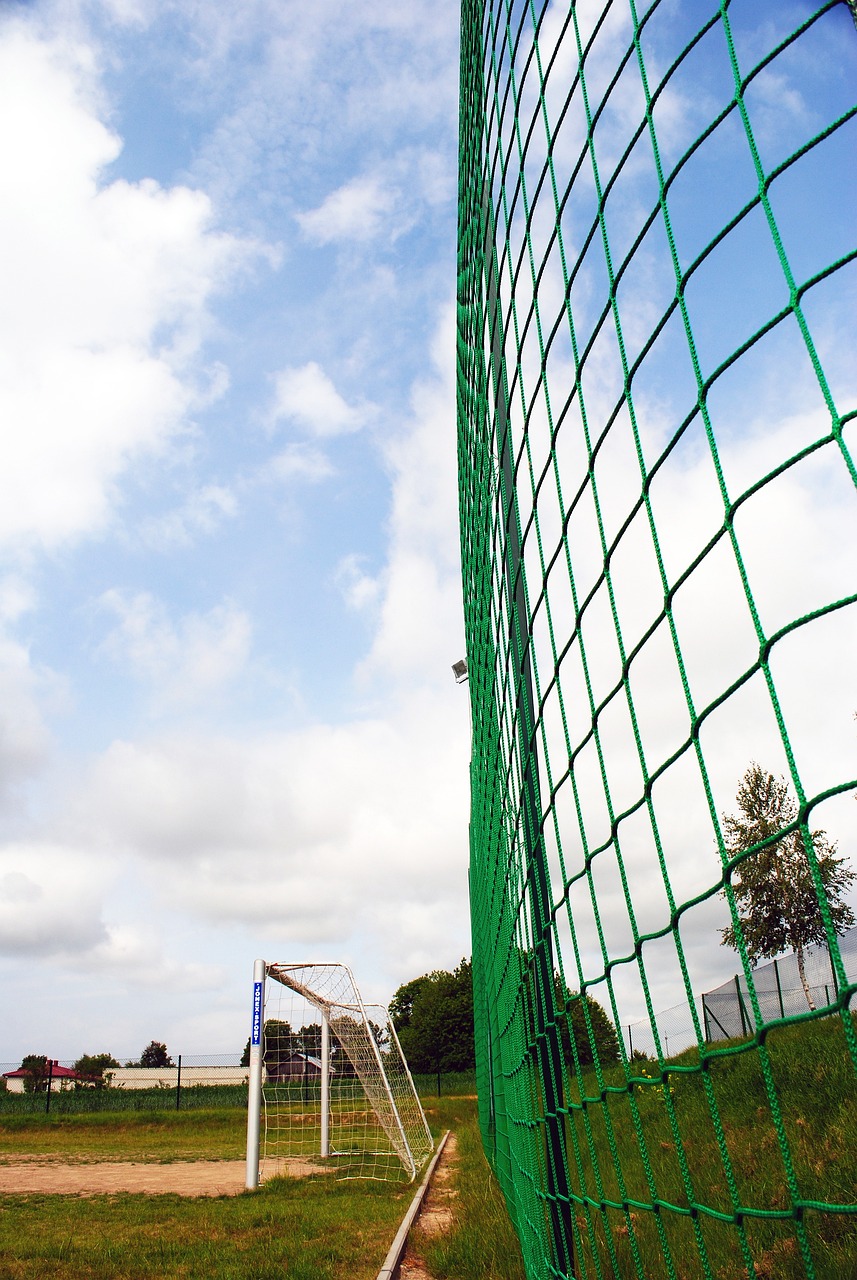 显著变化 显著变化